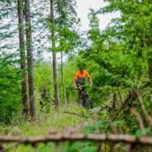 mountainbike