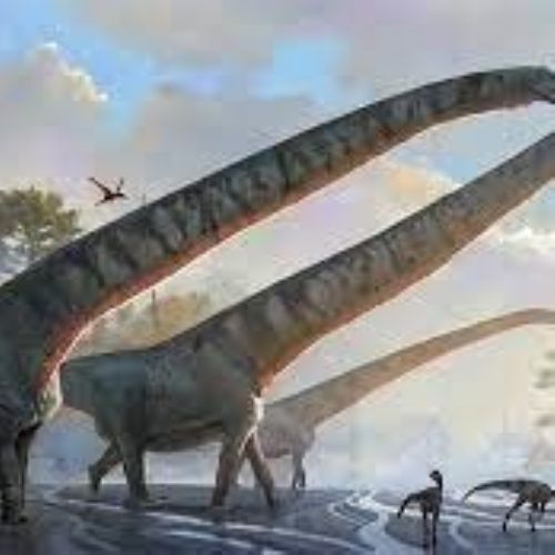 dino